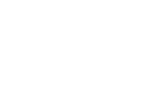 León Gobierno