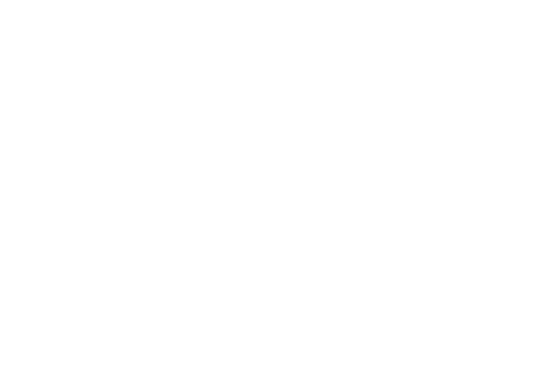 León Gobierno
